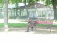 /album/a3-nap-2014-julius-30-/p1290970-jpg/